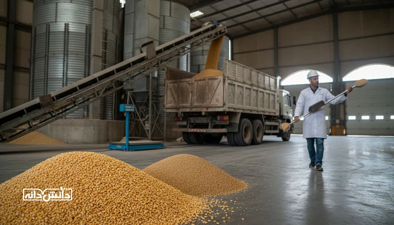 تحلیل قیمت تمام شده خوراک با بازارگاه؛ انبار ذرت و کنجاله سویا کنار کارخانه خوراک و کنترل کیفیت هنگام تحویل