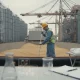 نمونه برداری و پایش مایکوتوکسین در واردات نهاده دامی در بندر برای تعیین فرکانس نمونه برداری و حد اقدام