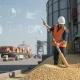 بازرسی و نمونه برداری ثالث از محموله غلات و نهاده های دامی در بندر برای کنترل کیفیت و کاهش ریسک اختلاف قراردادی
